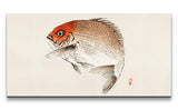 Remast_0328_1280x1280.jpg