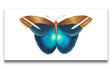 Remast_0903_1280x1280.jpg