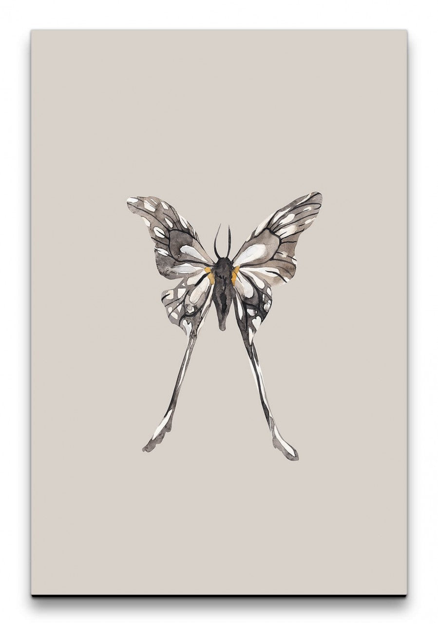 Insekten_015_1280x1280.jpg