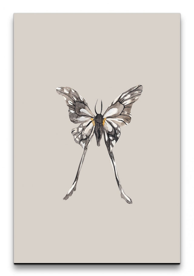 Insekten_015_1280x1280.jpg