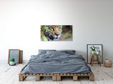 shutterstock_100578917885m3qgT07jfCl_1280x1280.jpg