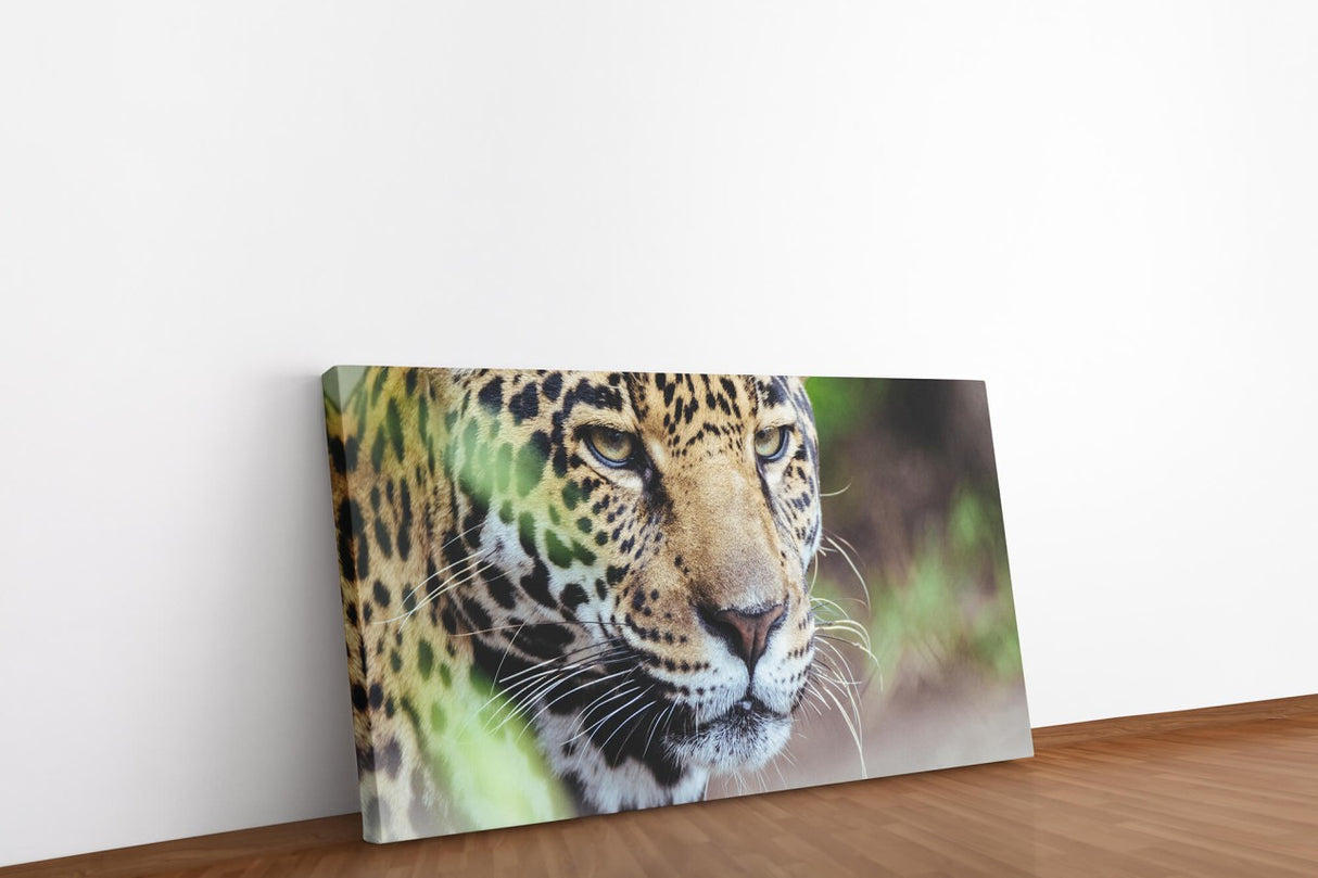shutterstock_1005789178Dw1c6XpgV54Rp_1280x1280.jpg