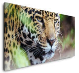 shutterstock_1005789178lotVdFwVsdDWt_1280x1280.jpg