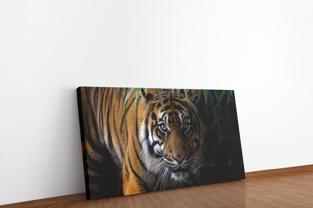 shutterstock_10116233777bPGZkfa5eznS_1280x1280.jpg