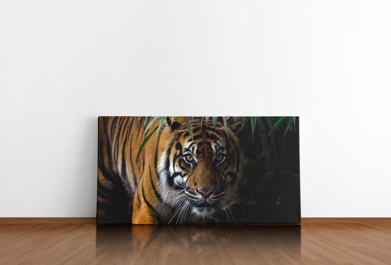 shutterstock_1011623377aUIOqyACRtGgb_1280x1280.jpg