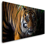 shutterstock_1011623377u1c4tE3It4dTo_1280x1280.jpg