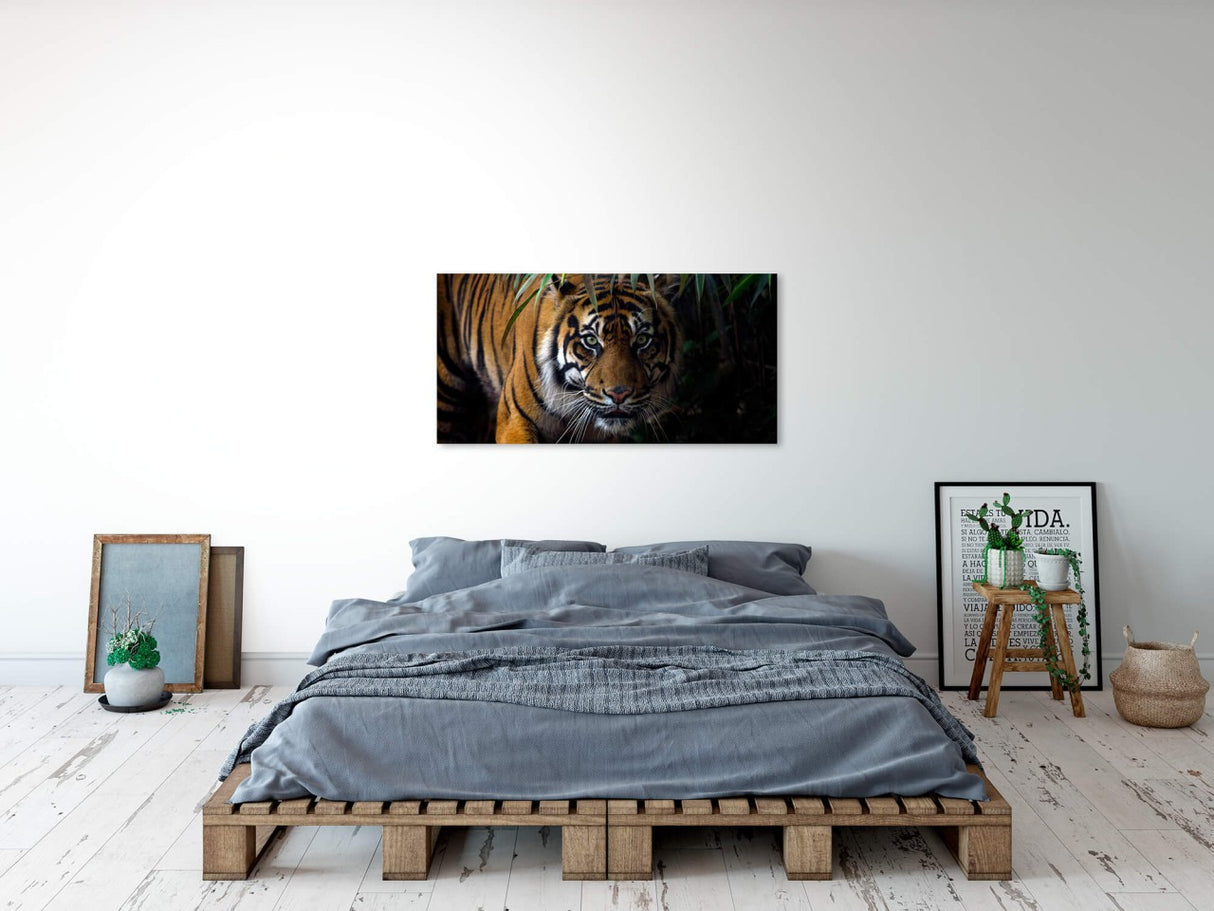 shutterstock_1011623377wMTTwObWXjOI9_1280x1280.jpg