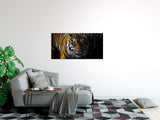 shutterstock_1011623377y8d3YDlOi7hWN_1280x1280.jpg