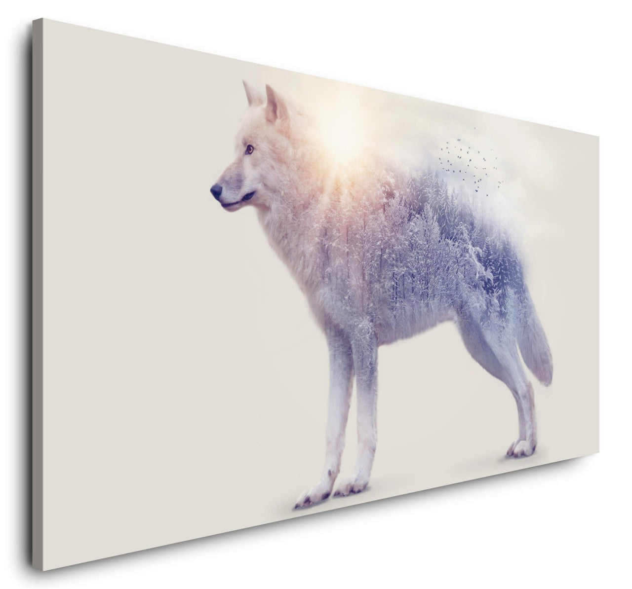 shutterstock_1024512412g57hRY2teVSkQ_1280x1280.jpg