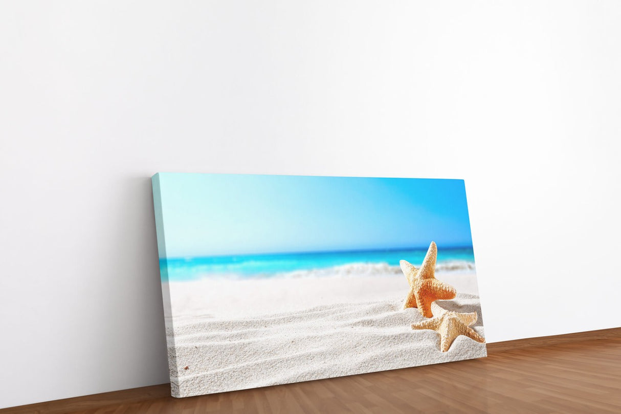 shutterstock_1025415727RmrbF7tPsg0y9_1280x1280.jpg