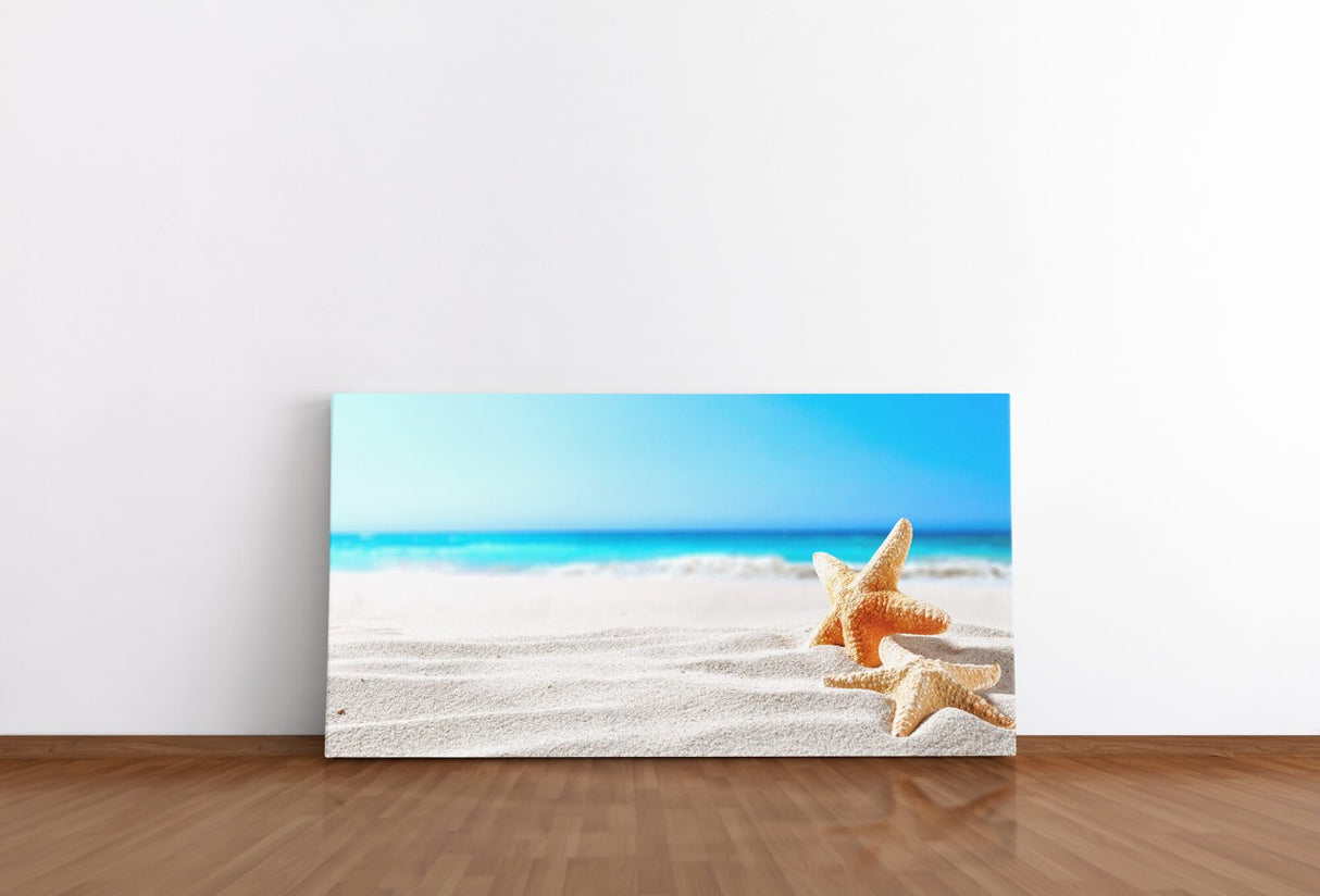 shutterstock_1025415727XpxvAkrSIv2Q0_1280x1280.jpg