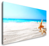 shutterstock_1025415727nHrI2i87fjFtk_1280x1280.jpg