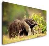 shutterstock_1042826557VRZCNrMT4DBG1_1280x1280.jpg