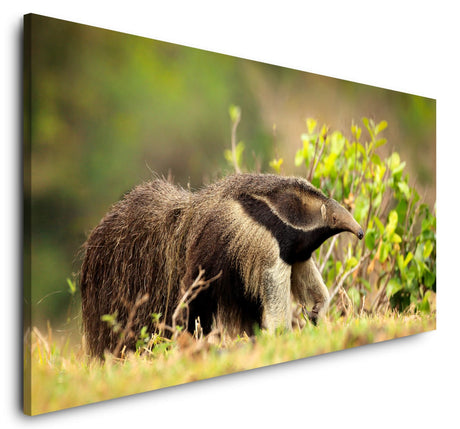 shutterstock_1042826557VRZCNrMT4DBG1_1280x1280.jpg
