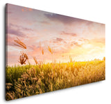 shutterstock_1043608012B2WYTZiE7B4yn_1280x1280.jpg