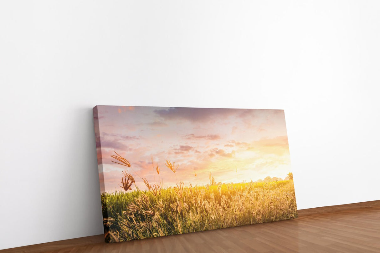 shutterstock_1043608012G2jOfFhpG6dXW_1280x1280.jpg