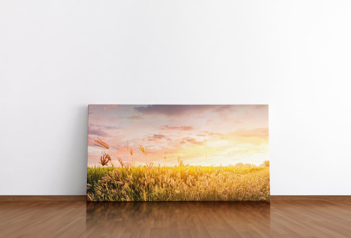 shutterstock_1043608012cw4saGl3d3Bpo_1280x1280.jpg