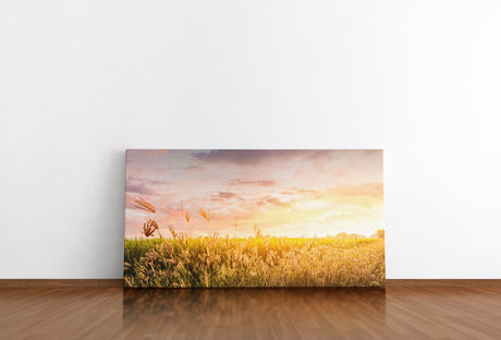 shutterstock_1043608012cw4saGl3d3Bpo_1280x1280.jpg