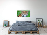 shutterstock_105798383Pcz7CmNRWqsh4_1280x1280.jpg