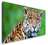 shutterstock_105798383ZRqnvwzqFRse3_1280x1280.jpg