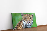 shutterstock_105798383cPz62HdADT5Qt_1280x1280.jpg