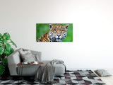 shutterstock_105798383iRRPfL9hgldSD_1280x1280.jpg