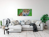 shutterstock_105798383xjSOncmKcM6tF_1280x1280.jpg