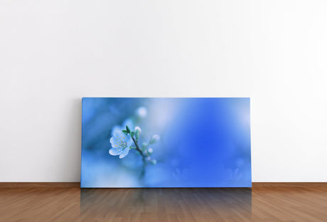shutterstock_10681452473D1JVpbSggYCZ_1280x1280.jpg