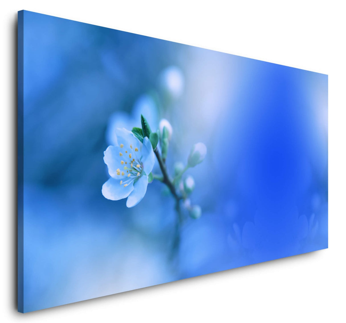shutterstock_1068145247QIZooRHaNtOtw_1280x1280.jpg