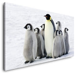 shutterstock_10742437491I8SEbYOysF4_1280x1280.jpg