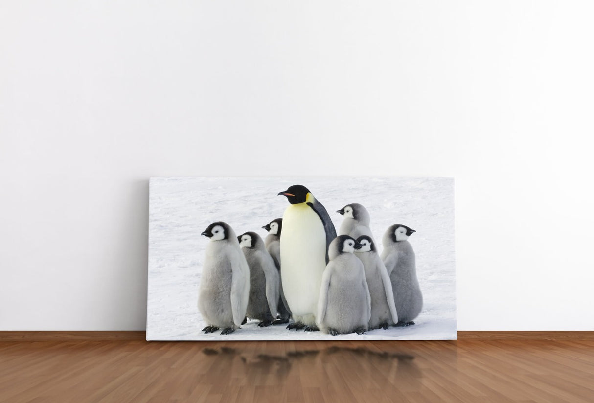 shutterstock_107424374c9KNc0XwSTQuL_1280x1280.jpg