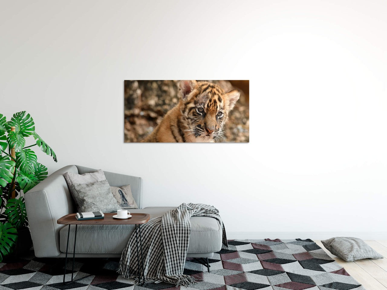 shutterstock_10787716731VgtkYTgO0eR2_1280x1280.jpg