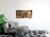shutterstock_10787716731VgtkYTgO0eR2_1280x1280.jpg