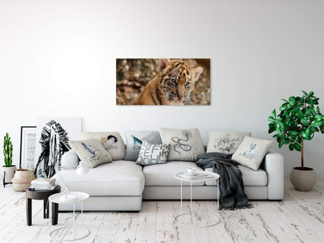 shutterstock_1078771673TaCNwWTDFKWQE_1280x1280.jpg