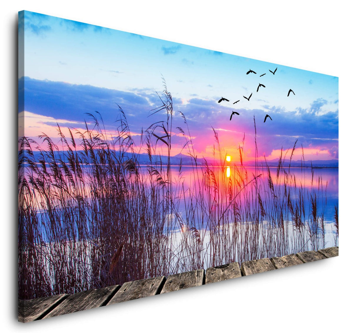 shutterstock_1086006815eQ6QQ3wdBfHnv_1280x1280.jpg