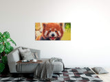 shutterstock_1093227788BpoyQ39s6oRRc_1280x1280.jpg