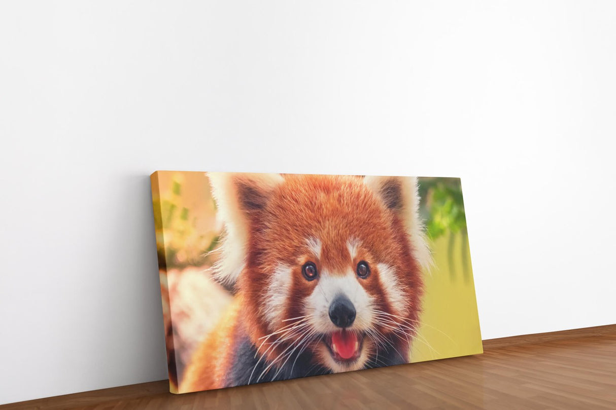 shutterstock_1093227788sATKkM3mrMH3T_1280x1280.jpg