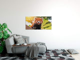 shutterstock_10950443548j3J2bwQpI20P_1280x1280.jpg