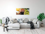 shutterstock_1095044354aQ2yMvxSJnbl2_1280x1280.jpg