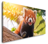 shutterstock_1095044354caXCrt9cuGz5m_1280x1280.jpg