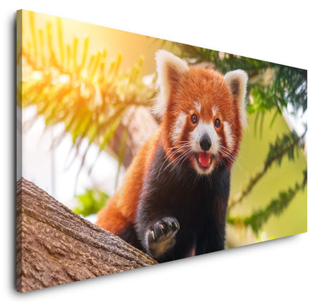 shutterstock_1095044354caXCrt9cuGz5m_1280x1280.jpg