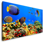 shutterstock_1102772513KYquaLZOd7al_1280x1280.jpg