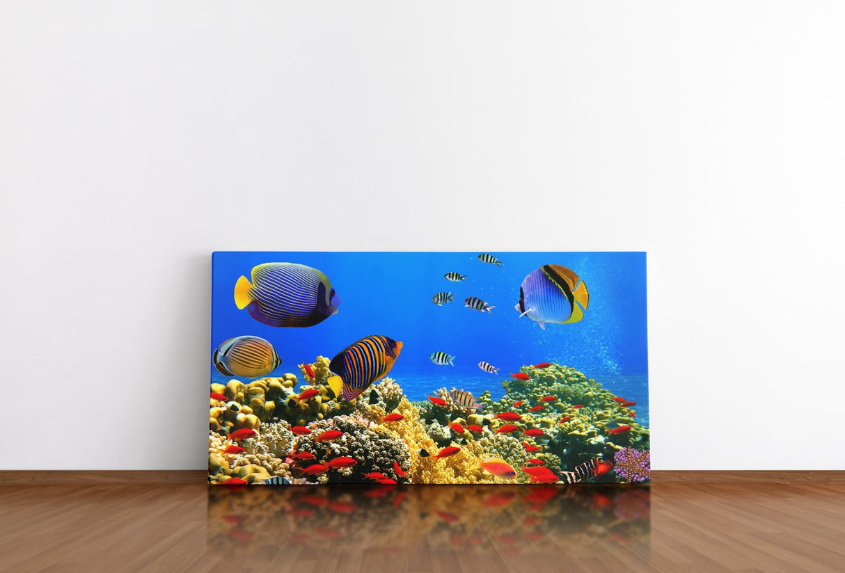 shutterstock_110277251Cq08jyOmsjYa0_1280x1280.jpg