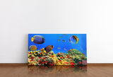 shutterstock_110277251Cq08jyOmsjYa0_1280x1280.jpg