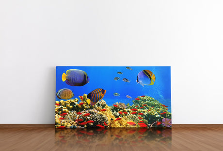 shutterstock_110277251Cq08jyOmsjYa0_1280x1280.jpg