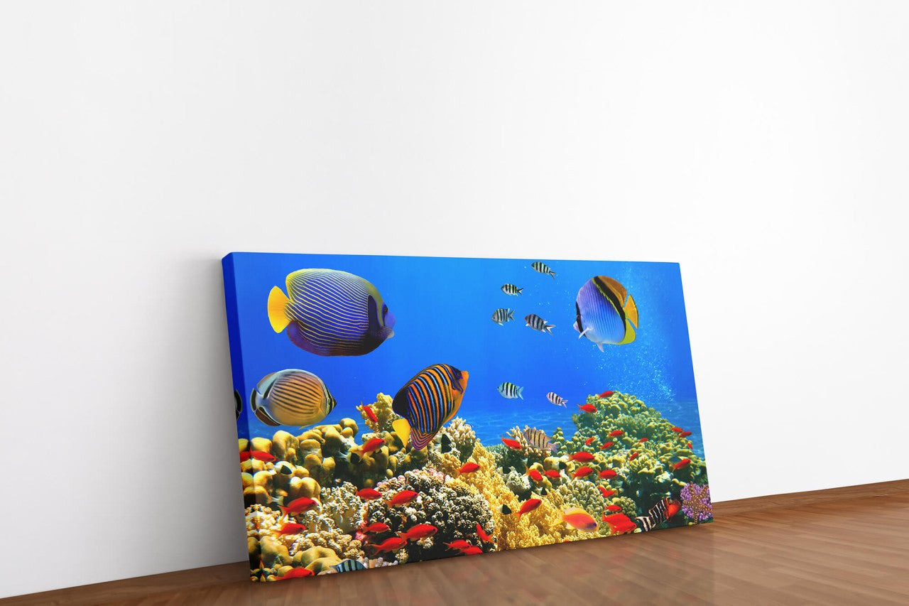 shutterstock_110277251Vmfl1Cyn4foVx_1280x1280.jpg
