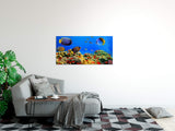 shutterstock_110277251xxz1XfofInakp_1280x1280.jpg