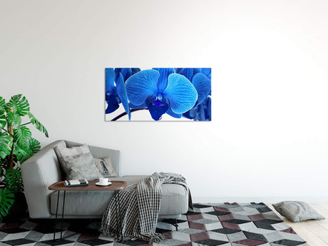 shutterstock_1109910458n4AUkUx2YIjXC_1280x1280.jpg