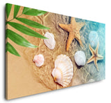 shutterstock_1121355326nOiA362vIn7rt_1280x1280.jpg