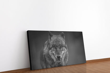 shutterstock_1129378946gB9QZrNhYtD1F_1280x1280.jpg